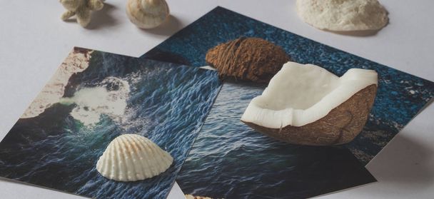 Shells and pictures with images of the sea on white surface - Foto, imagen