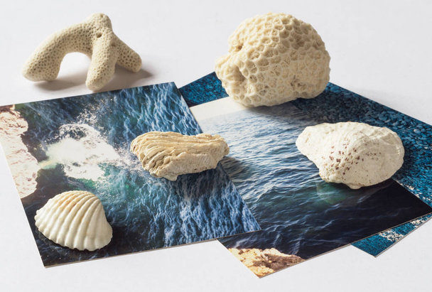 Shells and pictures with the images of the sea on white surface - Foto, Imagem