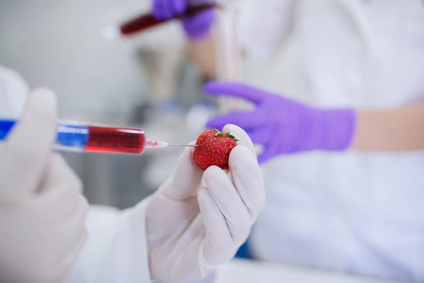 Mann führt Experimente an einer Erdbeere im Labor durch. Nahaufnahme - Foto, Bild