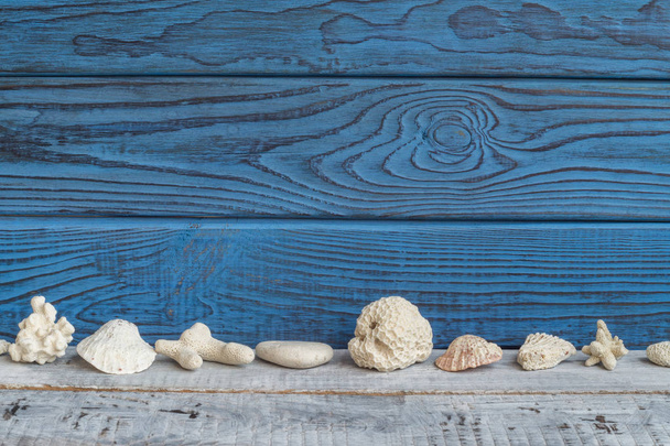 Shells on background of blue and white boards - Foto, Imagem