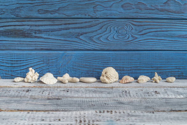 Shells on background of blue and white boards - Foto, imagen