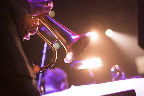 A person holding a flugelhorn during a live concert - Photo, Image