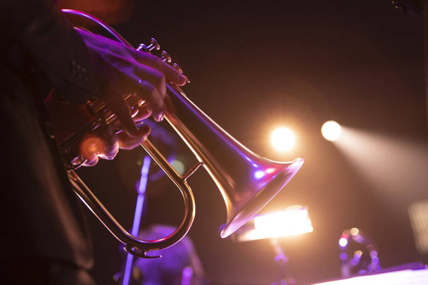 Ένα πρόσωπο που κατέχει ένα flugelhorn κατά τη διάρκεια μιας ζωντανής συναυλίας - Φωτογραφία, εικόνα