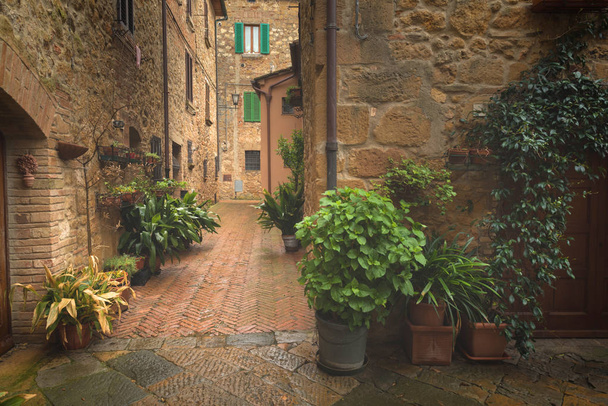 Tuscany wiosna, Pienza włoski średniowiecznego miasteczka. Siena, Włochy. - Zdjęcie, obraz