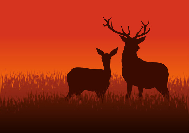 鹿と doe - ベクター画像