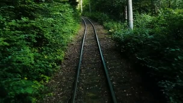 Ferrocarril de vía estrecha, rieles en el bosque, cámara lenta
 - Metraje, vídeo