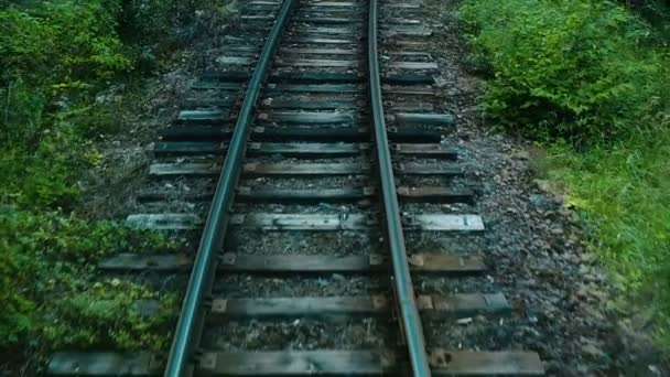 Σιδηρόδρομος στενός-μετρητών, σιδηροτροχιών και στρωτήρων στο δάσος, αργή κίνηση - Πλάνα, βίντεο