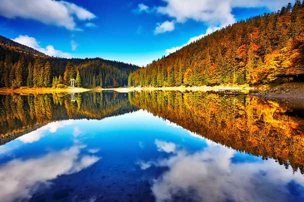 Лісове озеро відображає пейзаж. Лісові дерева озера в осінній сезон панорама
 - Фото, зображення