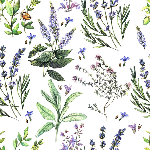Watercolor seamless with fragrant herbs - Photo, image