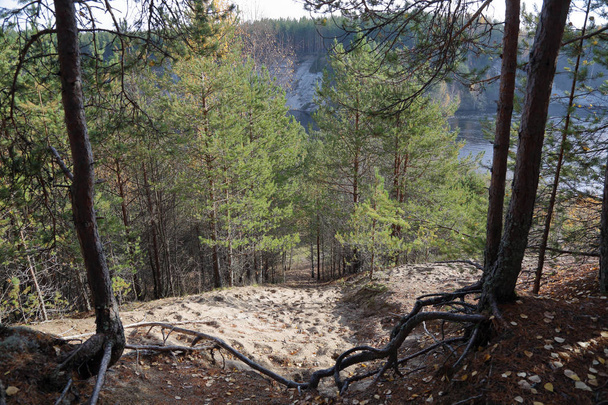 Γραφικό φθινόπωρο δάσος και τη λίμνη του χωριού Καρελίας Girvas, Ρωσία - Φωτογραφία, εικόνα