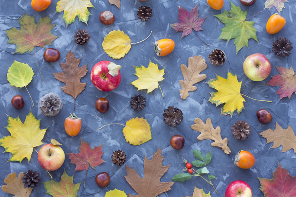 Background from autumn objects. Top view - Foto, immagini