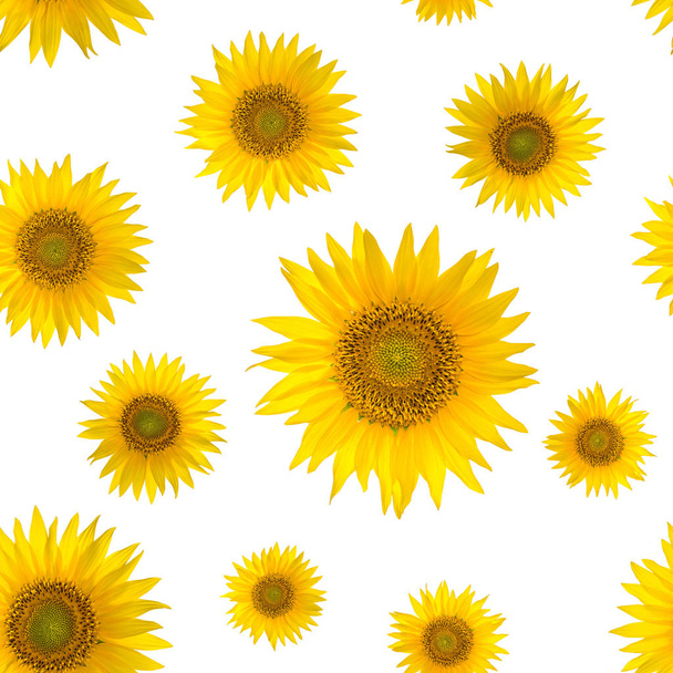 nahtloses Muster mit großen hellen Sonnenblumen auf gelbem Hintergrund. - Foto, Bild