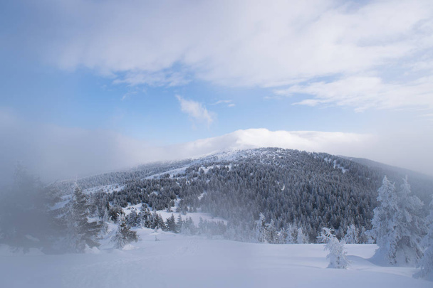  Карпатських гір, Україна взимку - Фото, зображення