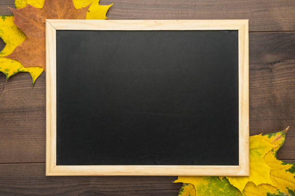blackboard and leaves - Foto, Imagen