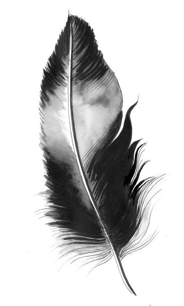 Ink black and white feather on white background - Foto, immagini