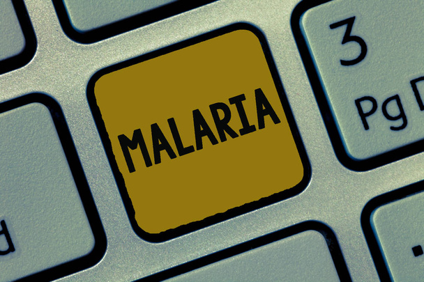 Szöveg jel mutatja a malária. Fogalmi fénykép életét fenyegető szúnyog viselt vér betegség tartó láz - Fotó, kép