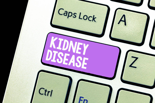 Handgeschreven tekst Kidney Disease. Begrip betekenis nieren kan niet langer haar functies op volle capaciteit worden uitgevoerd - Foto, afbeelding