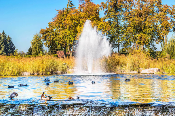 Brunnen auf dem See im Landschaftspark Mezhigirya in der Nähe von Kiew, Ukraine - Foto, Bild