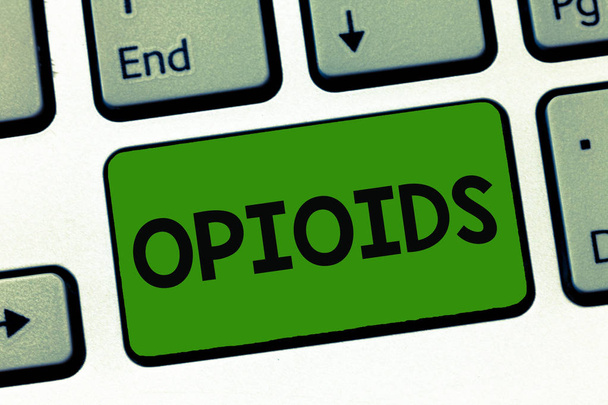 Woord schrijven tekst opioïden. Businessconcept voor klasse van geneesmiddelen die de illegale heroïne, Opium poppy plant opnemen - Foto, afbeelding