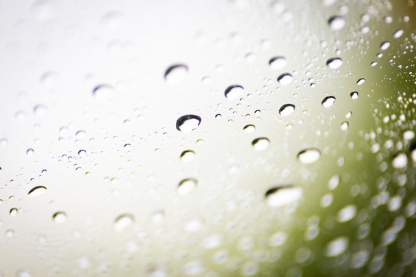 deszcz na szkło - Zdjęcie, obraz