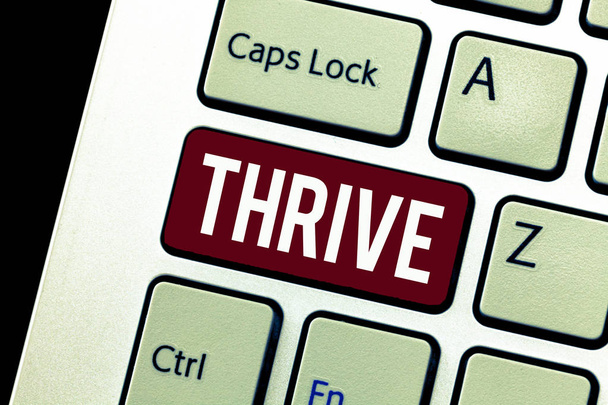 Word pisanie tekstu Thrive. Biznes koncepcja myśleć pozytywnie nadal rozwijać i rozkwitać czas kwiat - Zdjęcie, obraz