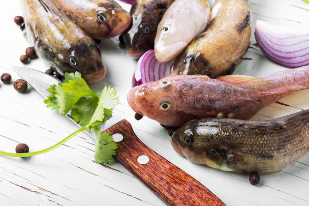 Свіжа морська риба на обробній дошці на кухонному столі
 - Фото, зображення
