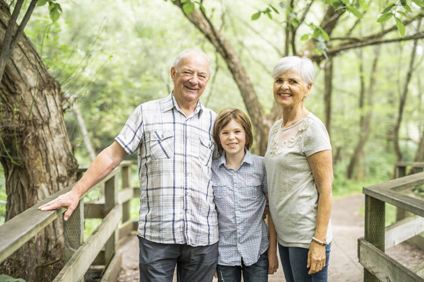 Παππούδες και γιαγιάδες με grandkid στο δάσος καλοκαίρι έχοντας μεγάλο χρονικό διάστημα - Φωτογραφία, εικόνα