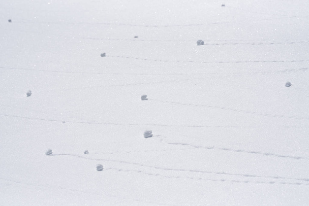 Het patroon van sneeuw. Witte winter achtergrond voor ontwerp - Foto, afbeelding
