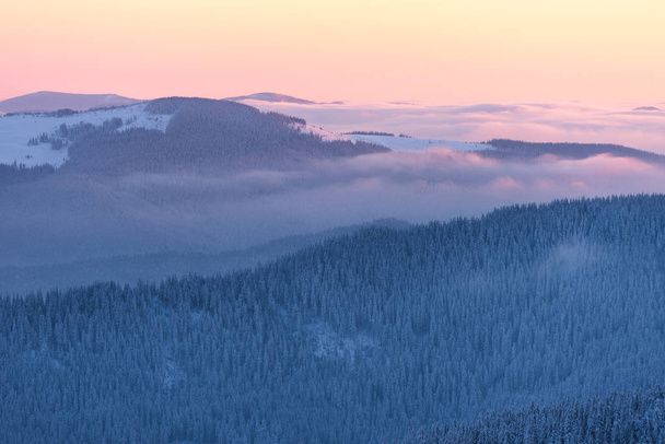 Ξημέρωμα στα βουνά. Χειμερινό τοπίο με χιονισμένο δάσος σε πλαγιές λόφων. Απαλή πρωινό φως - Φωτογραφία, εικόνα