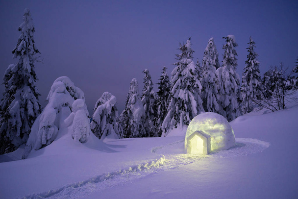 Eskimo iglo van sneeuw. Bergwandelen in de winter. Landschap van de nacht met beschutting voor extreme toeristen - Foto, afbeelding