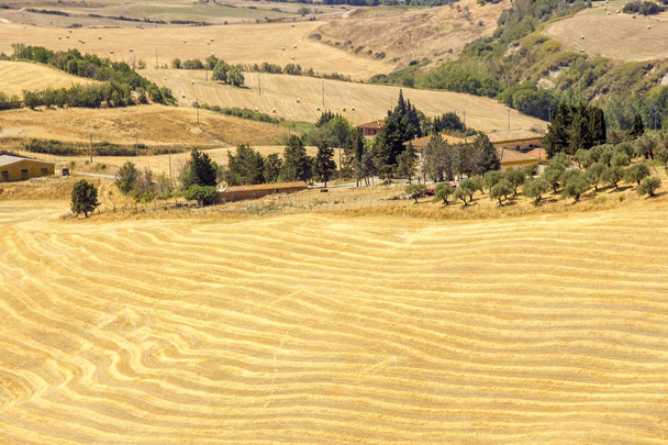 вид на типичный тосканский ландшафт летом, Италия - Фото, изображение