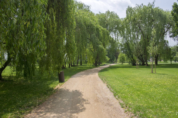 Public park in summer time, greenery, path throw and bench, sunny, blue sky - Fotoğraf, Görsel