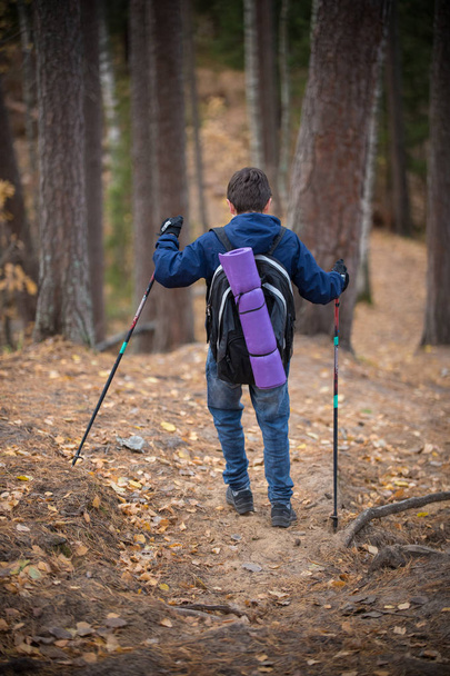 Little boy with hikers backpack travelling in forest - Фото, зображення