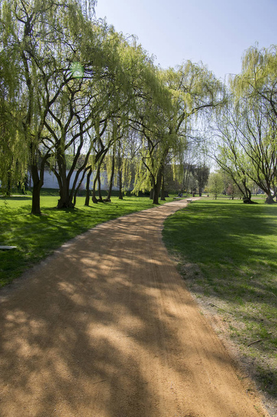 Public park in early spring, nature beginning turn to green - Fotó, kép
