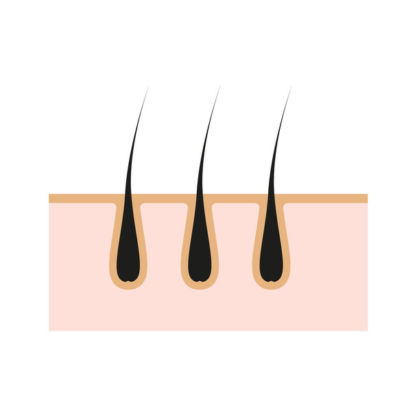 Εικονίδιο εικονογράφηση δέρμα μαλλιά. Στοιχείο του διανύσματος στην απομονωμένη υπόβαθρο για καλλυντική αποτρίχωση, ιατρική έργα. - Διάνυσμα, εικόνα