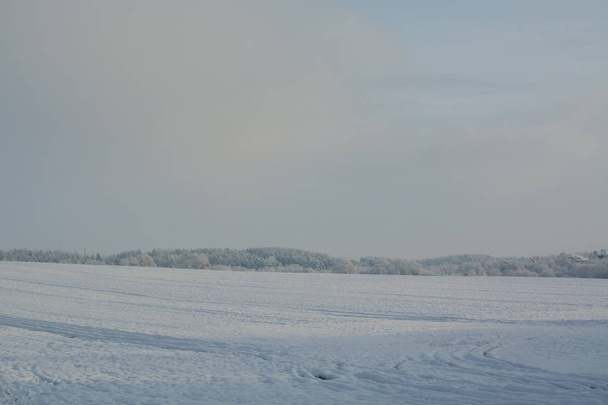The winter landscape. Cloudy day. Winter decline. The muffled colors. Monochrome landscape. Winter forest. - Φωτογραφία, εικόνα