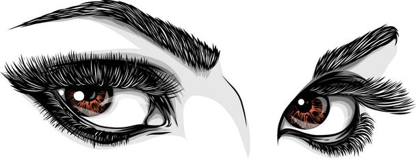 Krásné ženské oči s make-up - Vektor, obrázek
