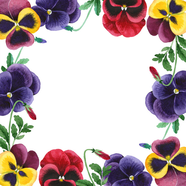 Aquarell bunte Viola Blume. Blütenbotanische Blume. Rahmen Rand Ornament Quadrat. - Foto, Bild
