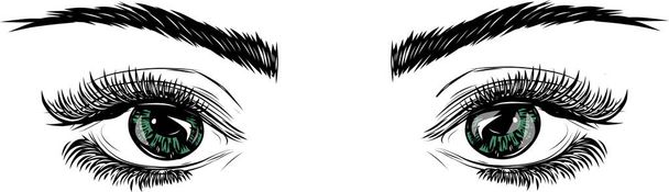 Mulheres bonitas Olhos com maquiagem - Vetor, Imagem