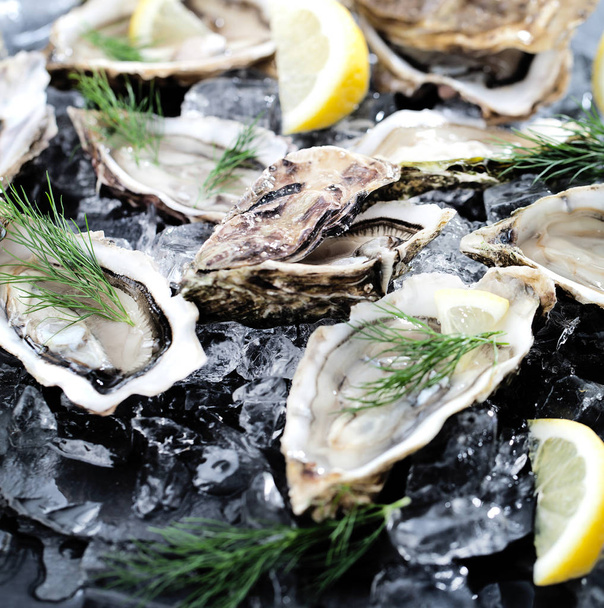 Fresh opened oyster with sliced lemon offered as top view on crushed ice with copy space - Фото, изображение