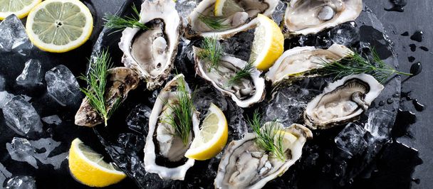 Fresh opened oyster with sliced lemon offered as top view on crushed ice with copy space - Foto, Imagen