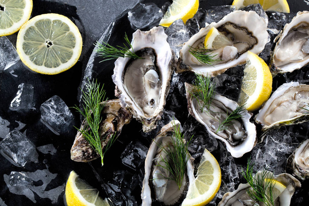 Fresh opened oyster with sliced lemon offered as top view on crushed ice with copy space - Foto, Imagem