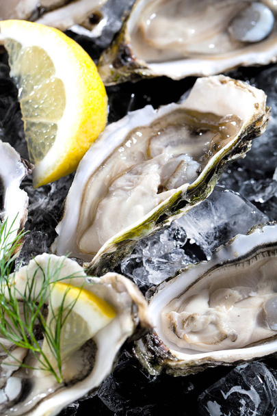 Fresh opened oyster with sliced lemon offered as top view on crushed ice with copy space - Φωτογραφία, εικόνα
