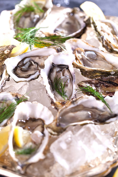 Fresh opened oyster with sliced lemon offered as top view on crushed ice with copy space - Foto, immagini