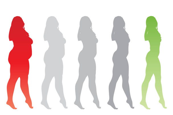 Vektör kavramsal şişman kilolu obez kadın vs fit sağlıklı vücut kilo kaybını takiben ince ya da diyet izole kas ince olan kadın. Fitness, beslenme veya şişmanlık obezite, sağlık siluet şekli - Vektör, Görsel