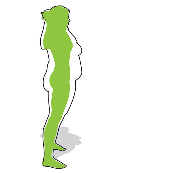 Vector conceptual de grasa obesa con sobrepeso femenino vs cuerpo sano en forma delgada después de la pérdida de peso o dieta con músculos delgados mujer joven aislada. Fitness, nutrición u obesidad grasa, forma de silueta de salud
 - Vector, imagen