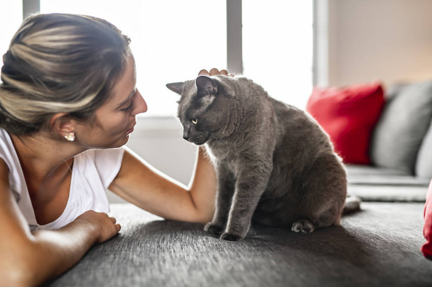 Nice Grey Cat with woman on sofa - Foto, afbeelding