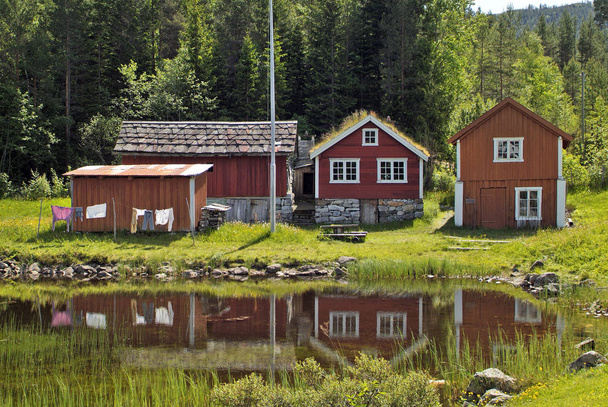 Noorwegen, vakantiehuizen met privé zwembad in tradionele structuur met reflectie in sognefjord - Foto, afbeelding