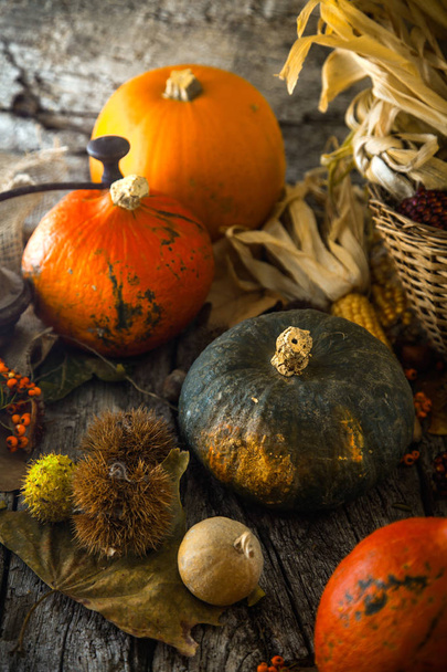 Thanksgiving day dinner. Autumn fruit with leaves. Thanksgiving autumn background - 写真・画像