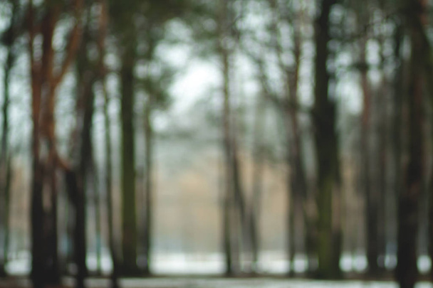 atmosphärisch verschwommener Winterwald. defokussierter schneebedeckter Hintergrund - Foto, Bild